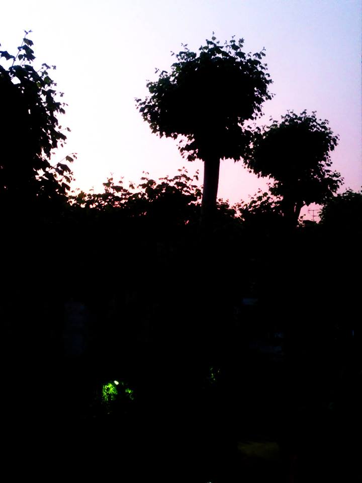 Observatoire