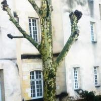 Réaction de combustion maîtrisée