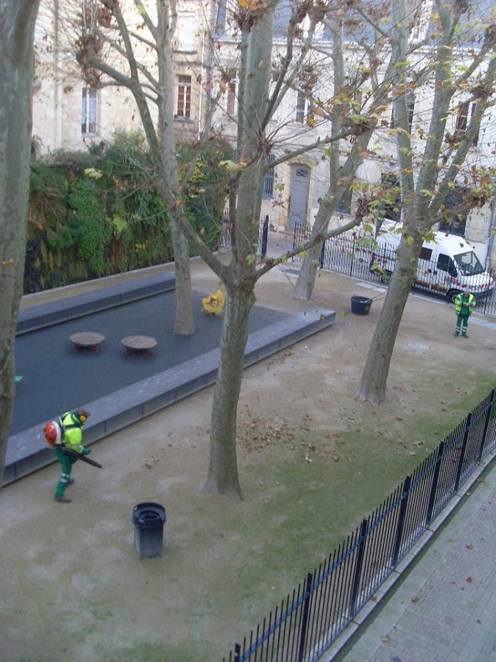 Souffler les feuilles